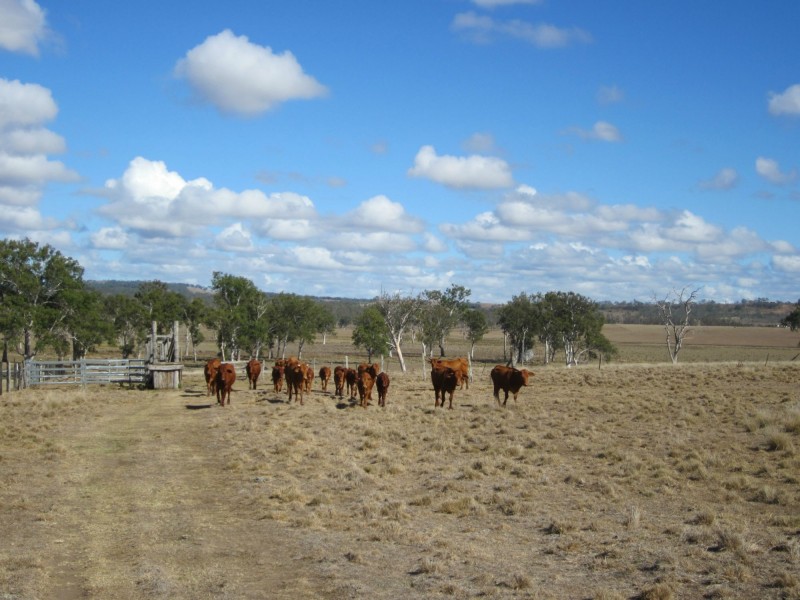 Warrill View QLD 4307
