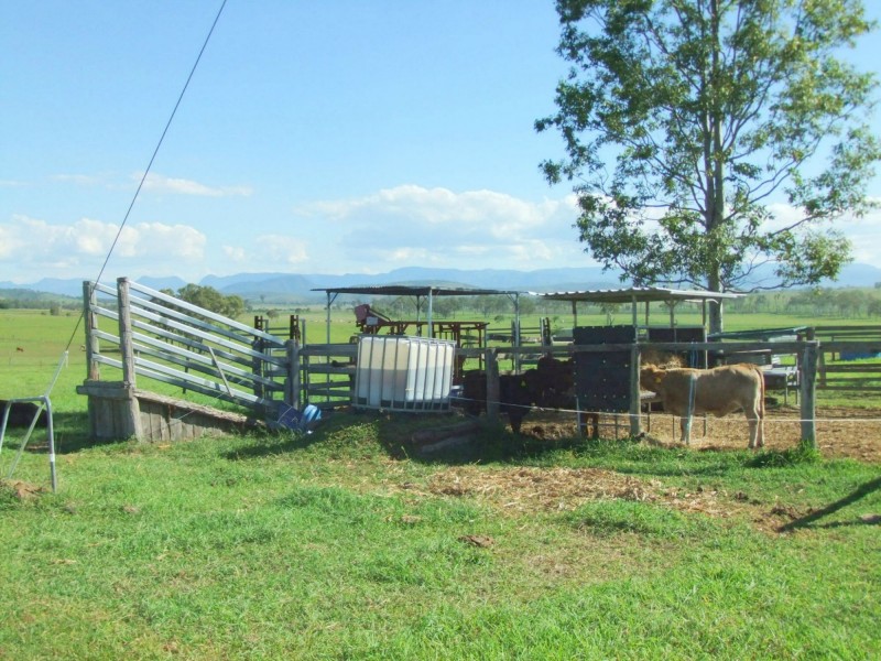 Warrill View QLD 4307