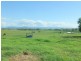 Warrill View QLD 4307