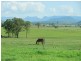 Warrill View QLD 4307