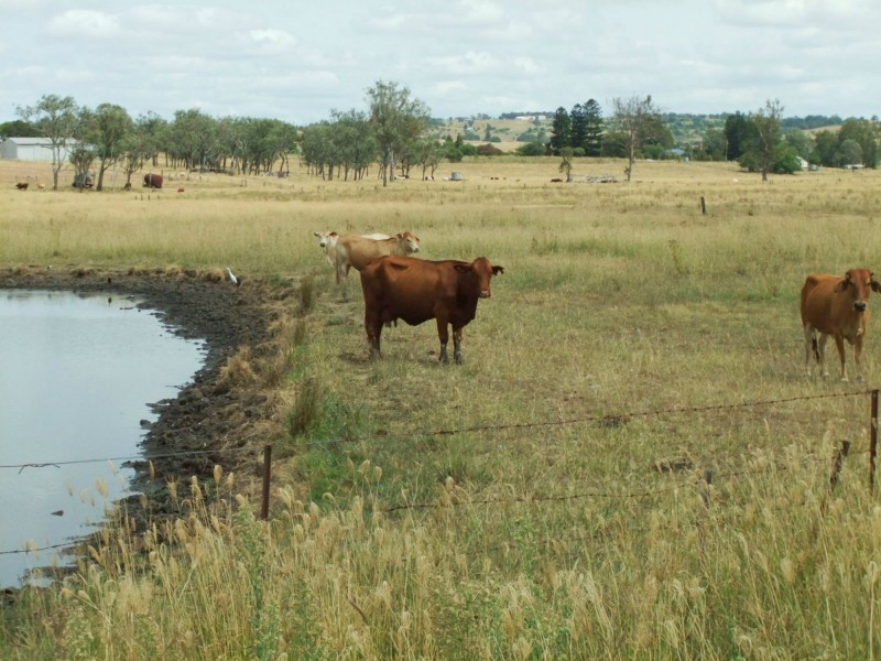 Lot 33, Lot 33 Ipswich Boonah Road, Boonah QLD 4310
