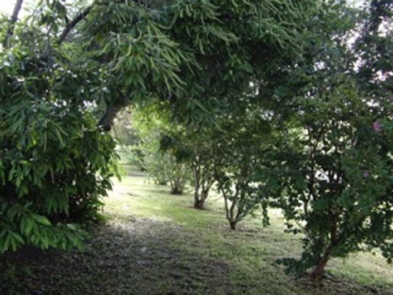 33 Hancock Road, Coulson QLD 4310