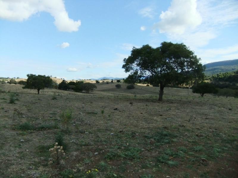 Mount French QLD 4310