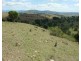 Milford QLD 4310