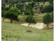Milford QLD 4310