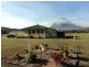 Clumber QLD 4309