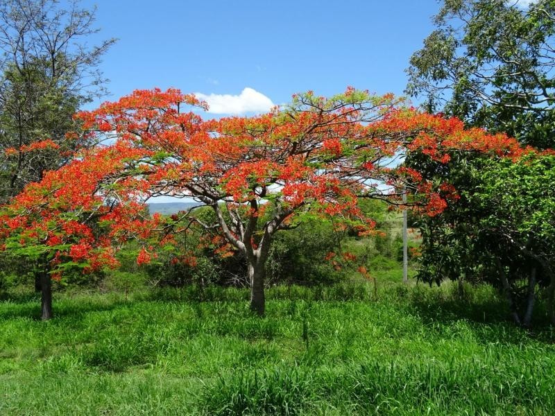 362 Mount French Road, Mount French QLD 4310