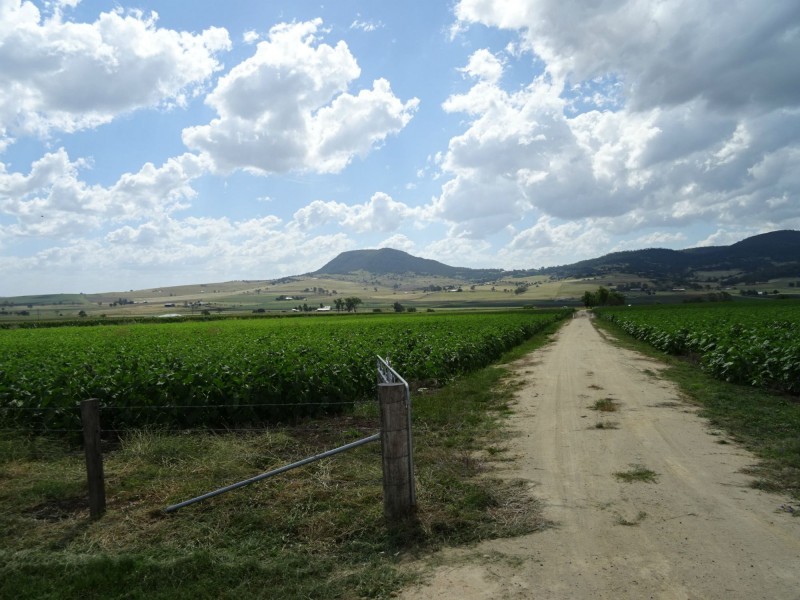 Lot 415 Top Swanfels Road, Yangan QLD 4371