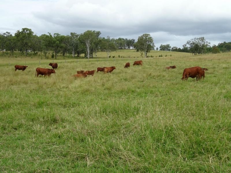 Bunjurgen QLD 4310