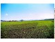 284 Kents Lagoon Road, Kalbar QLD 4309