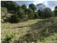 Lot 41 Zingelmann Road, Milbong QLD 4310