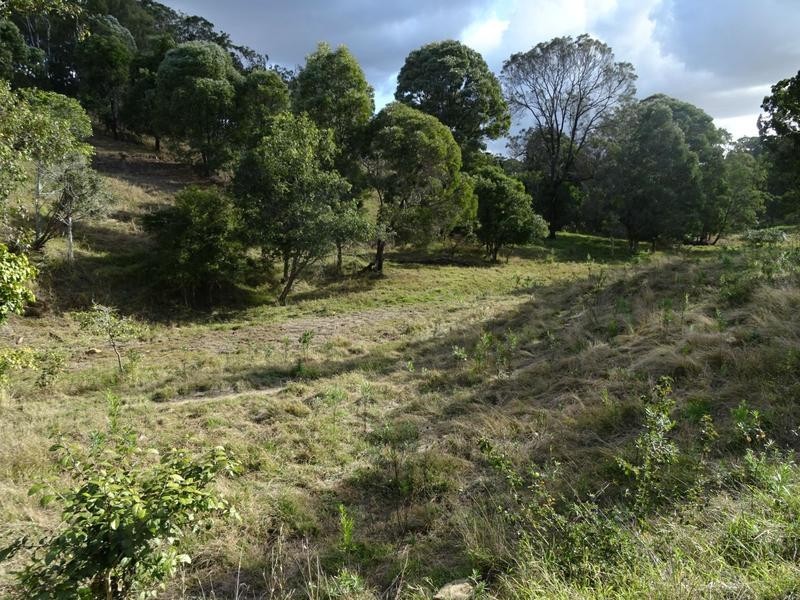 Lot 41 Zingelmann Road, Milbong QLD 4310