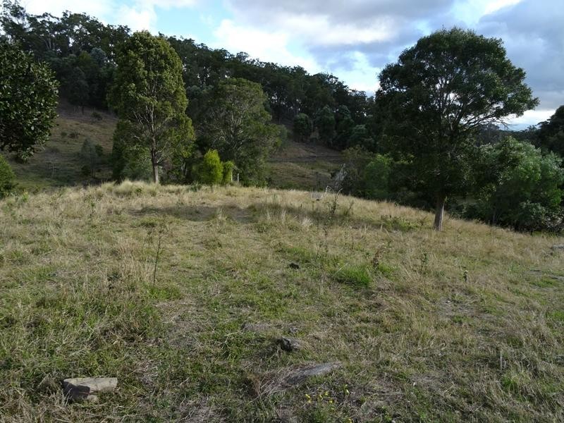Lot 41 Zingelmann Road, Milbong QLD 4310
