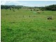 Boonah QLD 4310