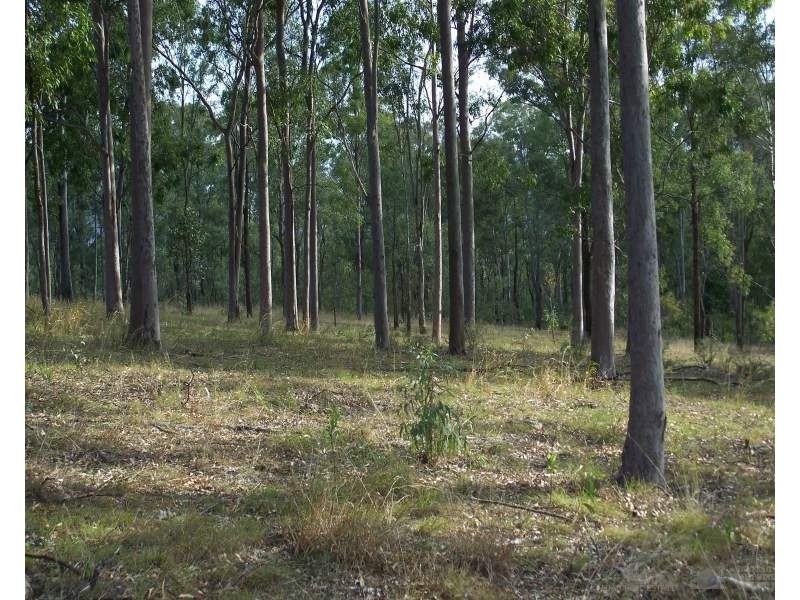 Cannon Creek QLD 4310