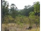 Cannon Creek QLD 4310