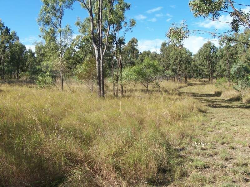 Wallaces Creek QLD 4310