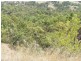 Wallaces Creek QLD 4310