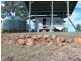 Wallaces Creek QLD 4310