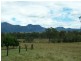 Clumber QLD 4309