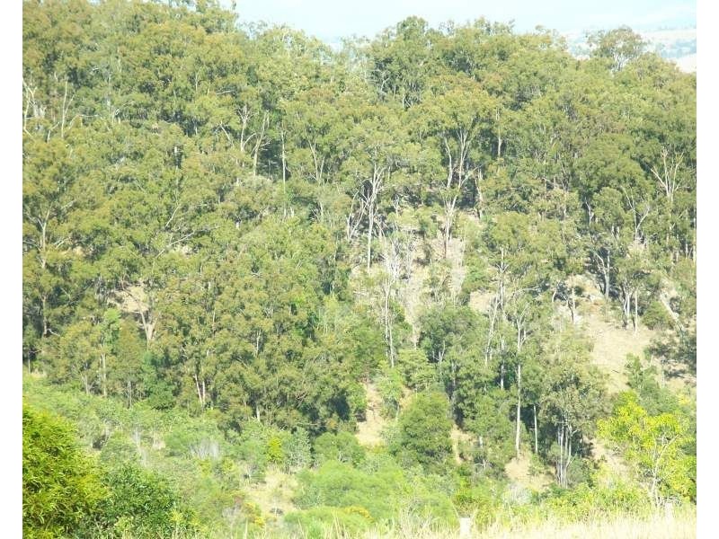 Milbong QLD 4310
