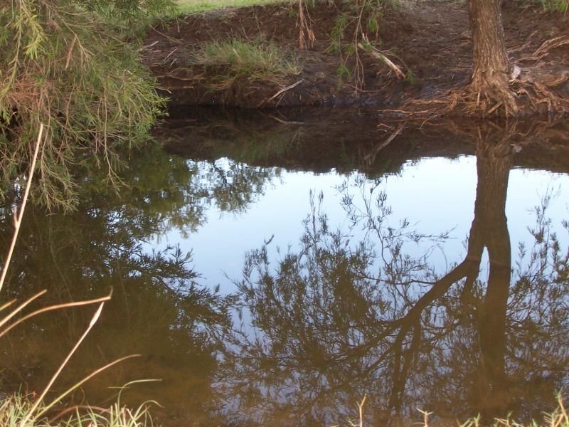 Silverdale QLD 4307