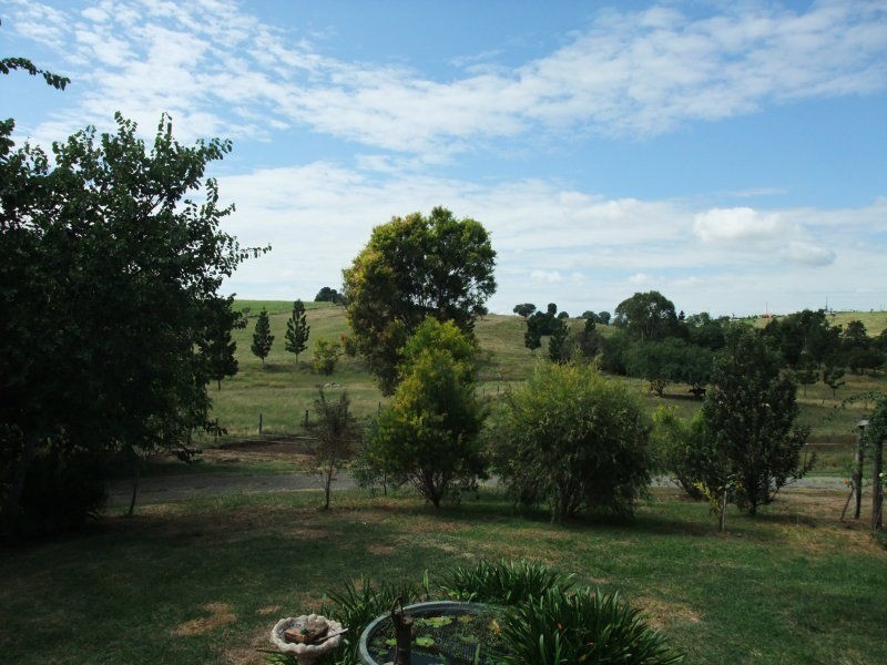 Hoya QLD 4310