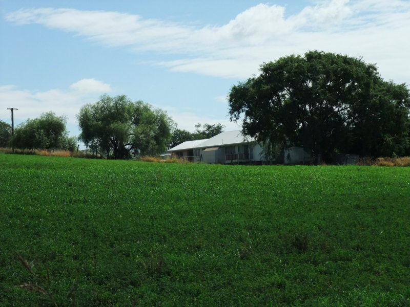 Hoya QLD 4310