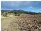 Kalbar QLD 4309