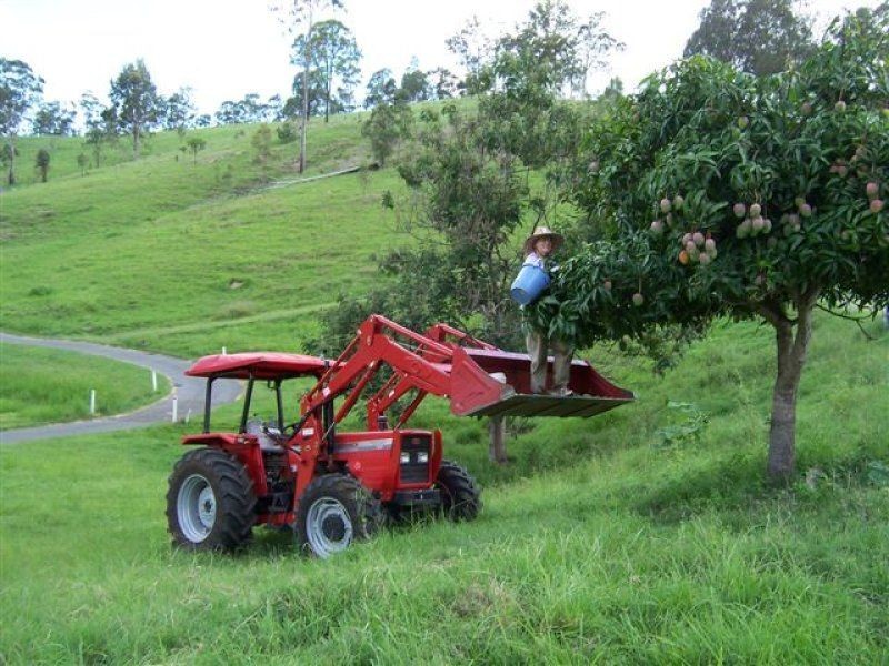 Cannon Creek QLD 4310