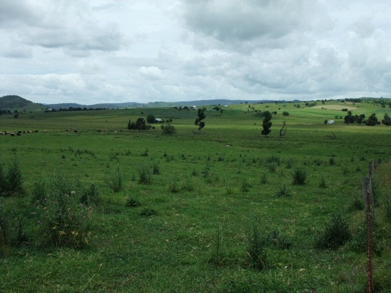Milford QLD 4310