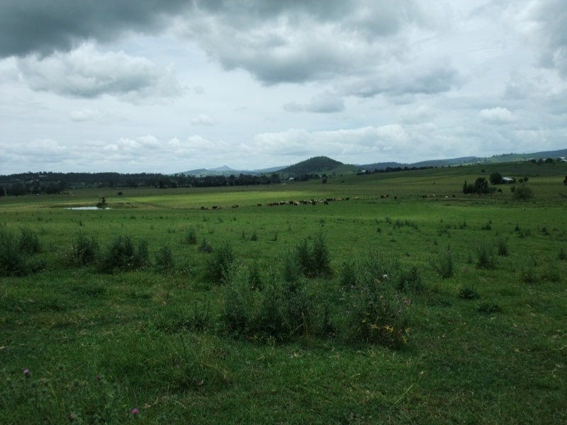 Milford QLD 4310