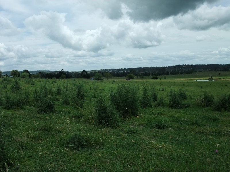 Milford QLD 4310