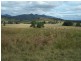 Maroon QLD 4310