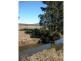 Coochin QLD 4310