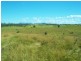 Hoya QLD 4310