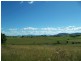 Hoya QLD 4310