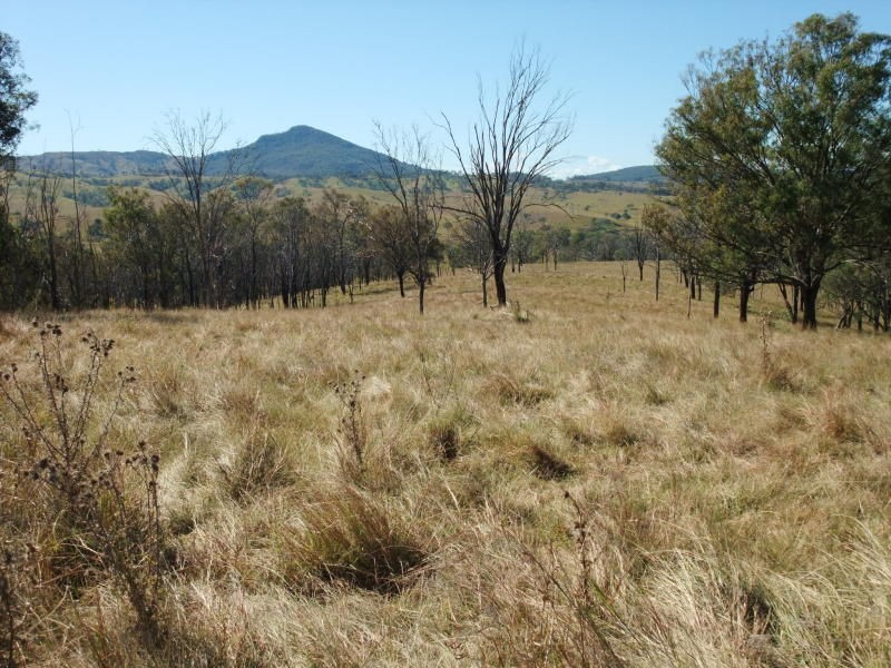 Maroon QLD 4310