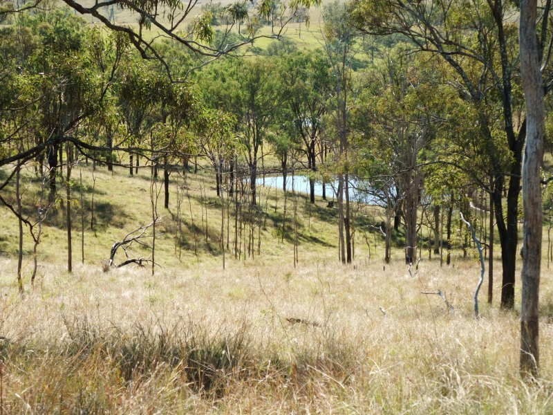 Maroon QLD 4310