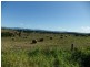 Kalbar QLD 4309