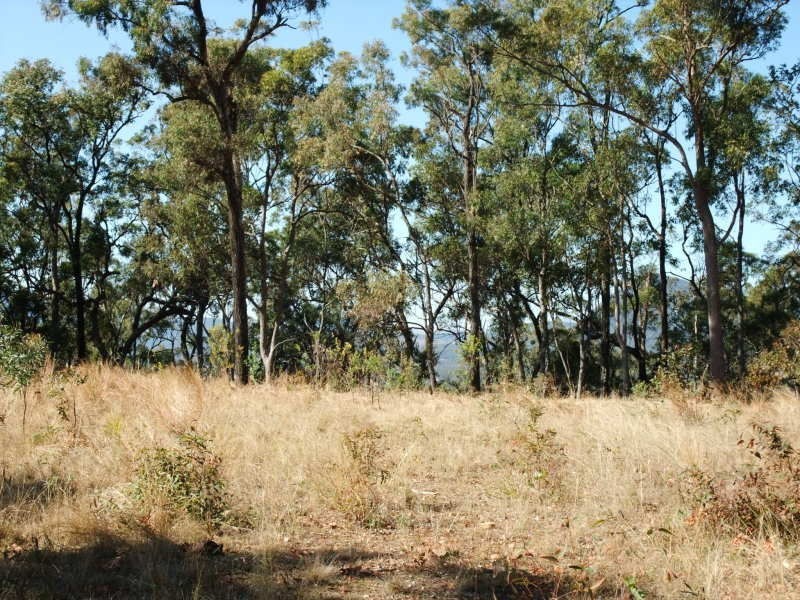 Frazerview QLD 4309