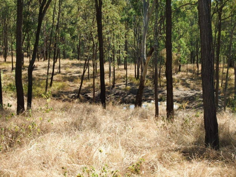 Frazerview QLD 4309