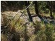 Frazerview QLD 4309