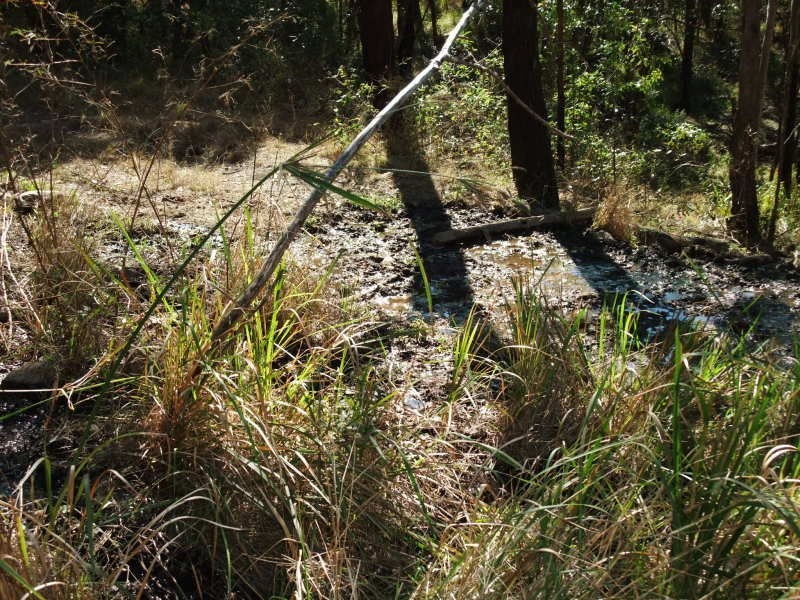 Frazerview QLD 4309