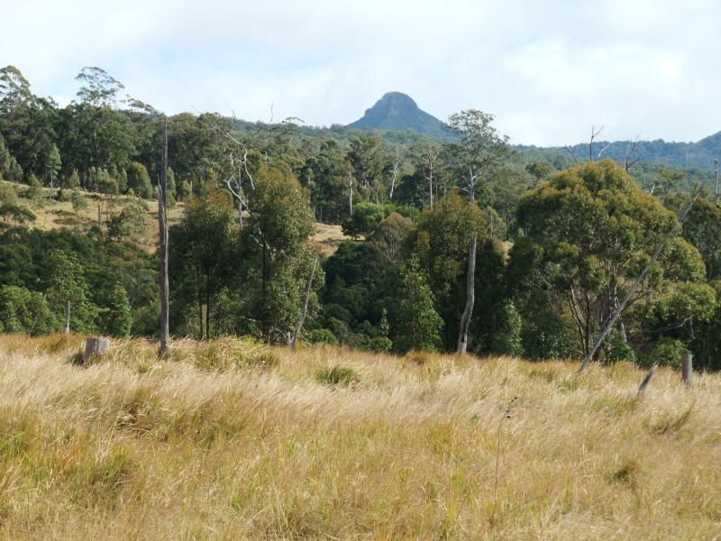 Carneys Creek QLD 4310