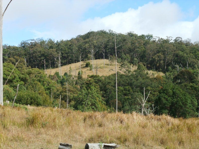 Carneys Creek QLD 4310