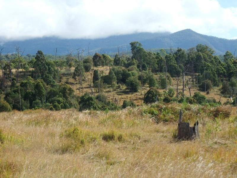 Carneys Creek QLD 4310