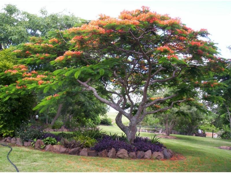 Teviotville QLD 4309