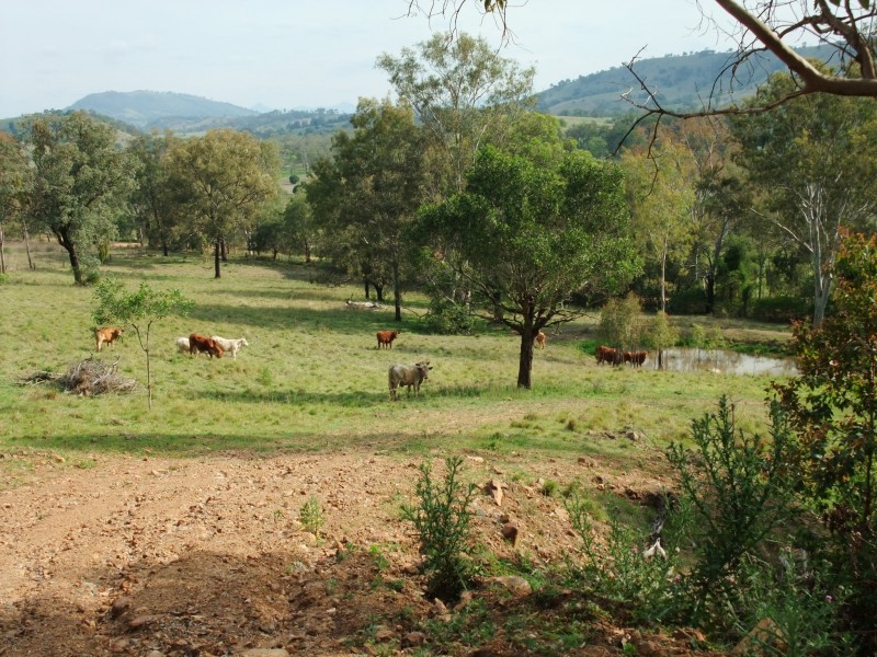 Bunburra QLD 4310