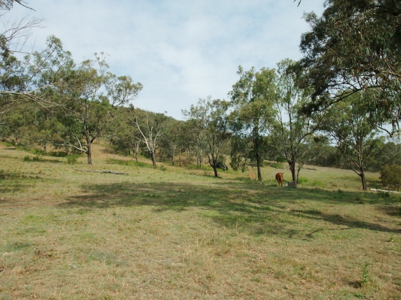Bunburra QLD 4310